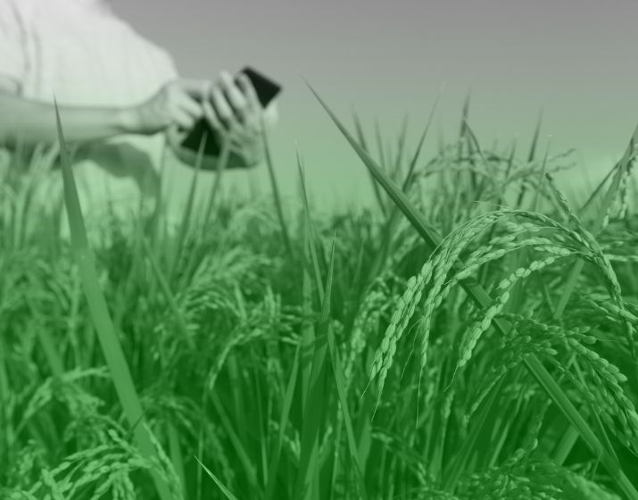 Poultry & Agribusiness